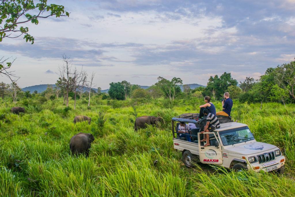 Sundari Eco Village Habarana Esterno foto